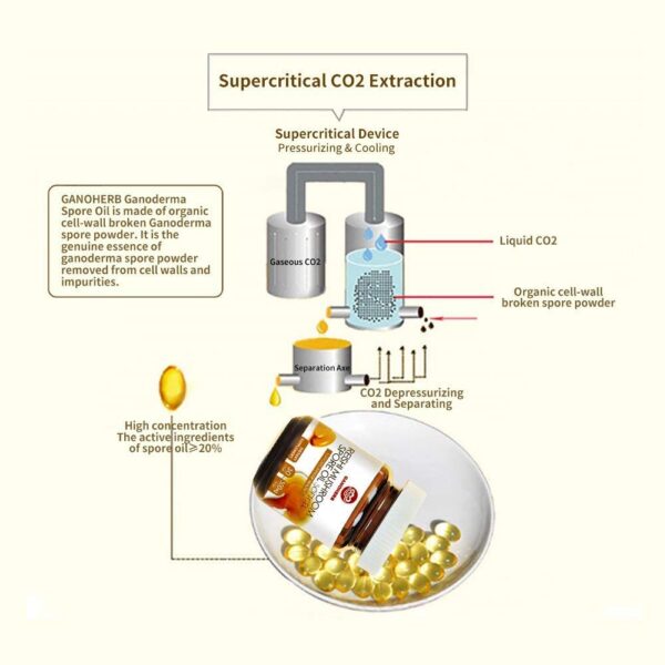 GANOHERB reishi aceite esporas suplemento certificado USDA