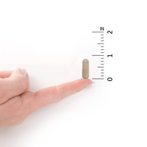 Caja Garden of Life complejo k vegano con minerales esenciales