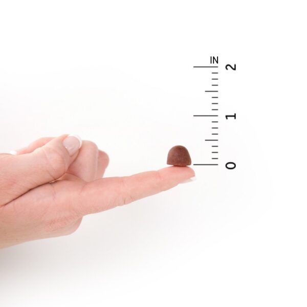 Etiqueta trasera gomitas organicas hombres garden of life sabor berry