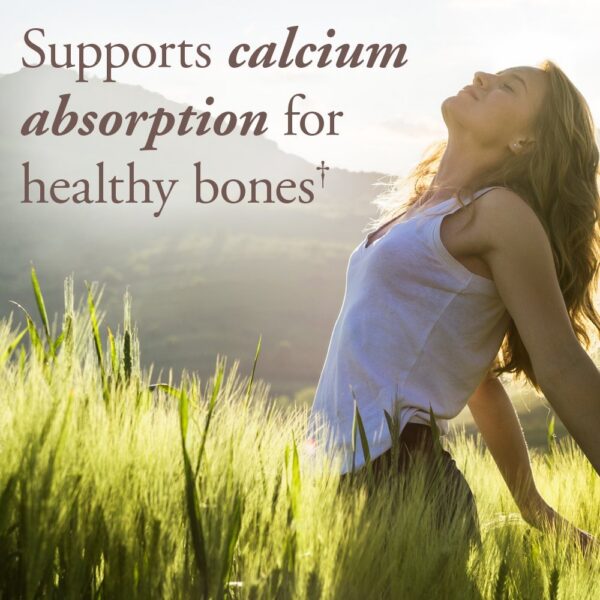 Version 1.0.0 Color naranja de las tabletas