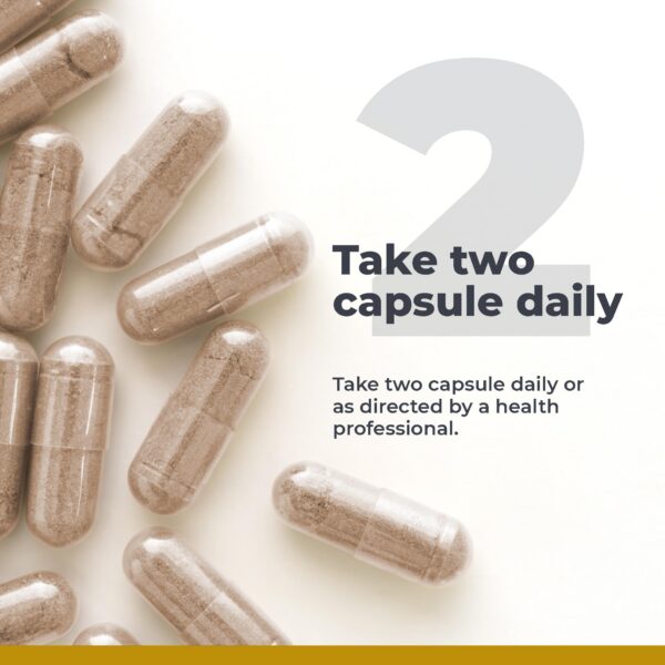 Detalle de ingredientes bromelina y jengibre