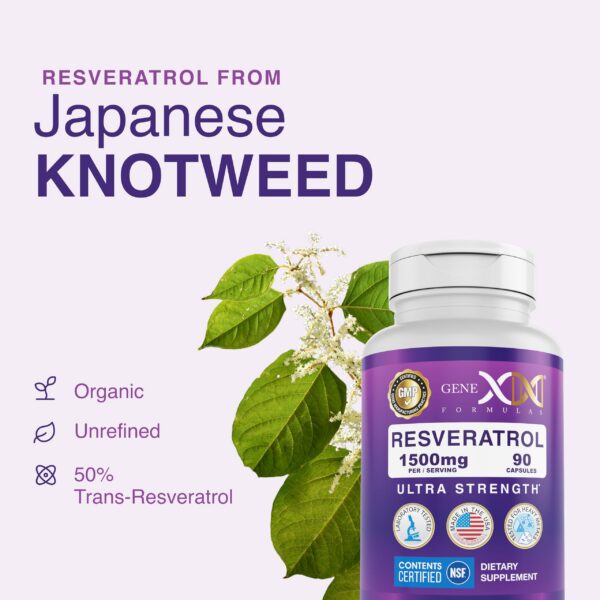 Botella opaca para almacenamiento