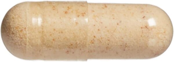 Ginkgo biloba natural factors caja y frasco suplemento circulación