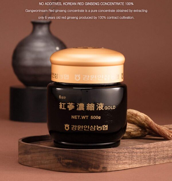 Version 1.0.0 Ginseng rojo coreano 6 años Gangwoninsam suplemento saludable