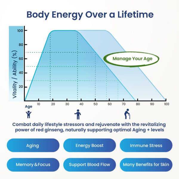 Ginseng Rojo Coreano BTGIN cápsulas suplemento energético y anti-edad