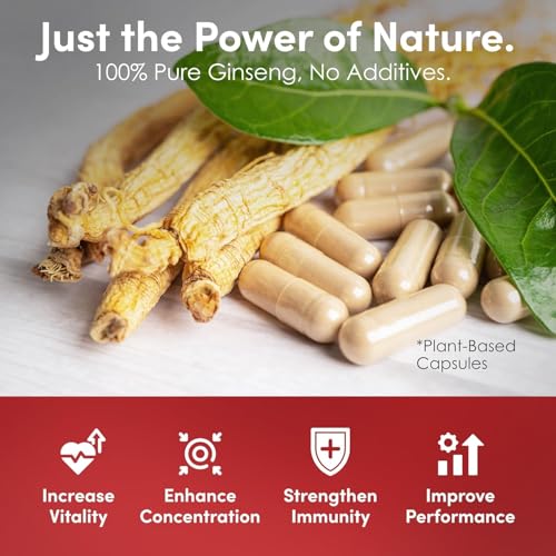 Ginseng rojo coreano polvo puro 6 años certificado GMP