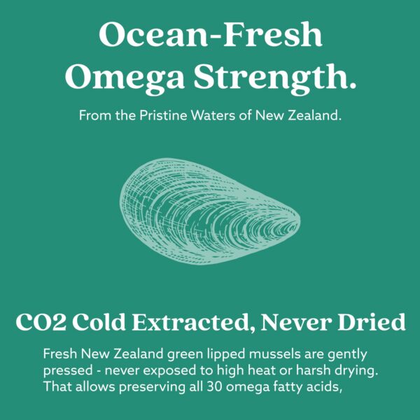 Mejillón verde Nueva Zelanda ingrediente