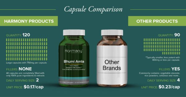 Version 1.0.0 GMP certified seal on label