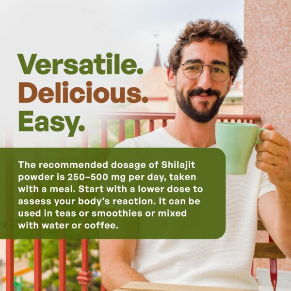 Version 1.0.0 Polvo negro de shilajit puro