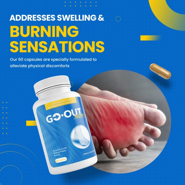 Go-Out Now fórmula herbal para salud renal y hepática