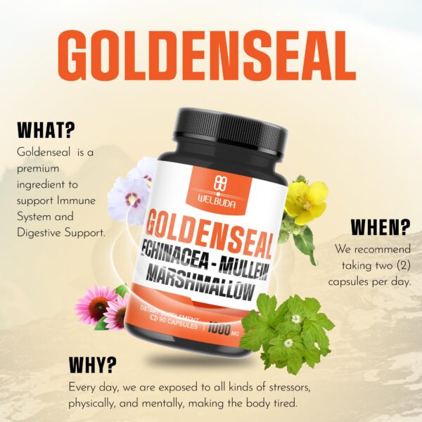 Goldenseal extracto natural para salud digestiva