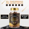 Version 1.0.0 Gominolas álmpha hombres con shilajit de montaña pura