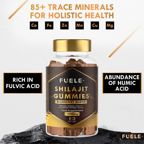 Version 1.0.0 Gominolas álmpha hombres con shilajit de montaña pura