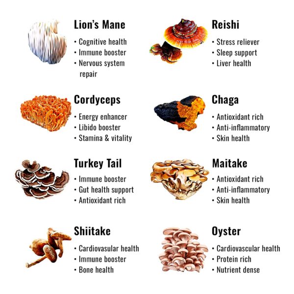 Gominolas con melena de león reishi chaga para bienestar