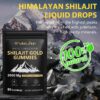 Gominolas naturales Shilajit Himalaya con minerales y Ashwagandha
