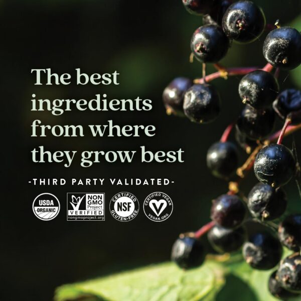 Gominolas veganas de Saúco New Chapter