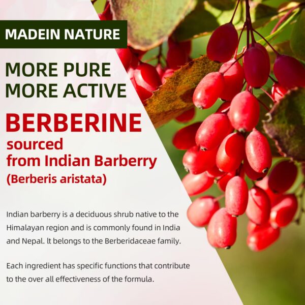 berberina gomitas sin azúcar para soporte inmune y metabolismo