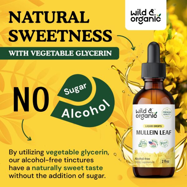 Gomitas de clorofila para detoxificación