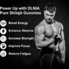 Frasco de DLNIA Shilajit Gummies