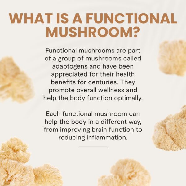 Gomitas con extracto potente melena de león Charlotte's Web