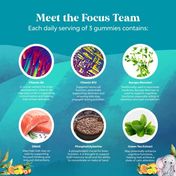 Version 1.0.0 Gomitas Kids Focus para concentración con vitaminas B6 B12