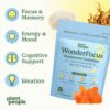 Gomitas con melena de león y cordyceps para energía mental