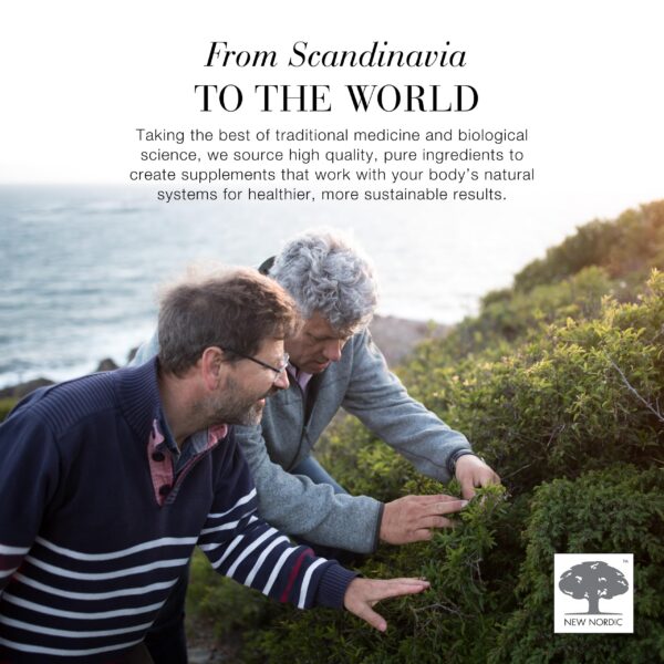 Version 1.0.0 Gomitas moradas NEW NORDIC sin sabores artificiales para el sistema inmune