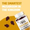 Gomitas naturales para memoria y estado de ánimo OM Mushroom