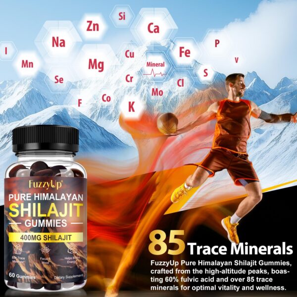 Version 1.0.0 Gomitas naturales de shilajit del Himalaya para salud diaria