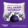 Gomitas para dormir ZzzQuil sabor wildberry vainilla