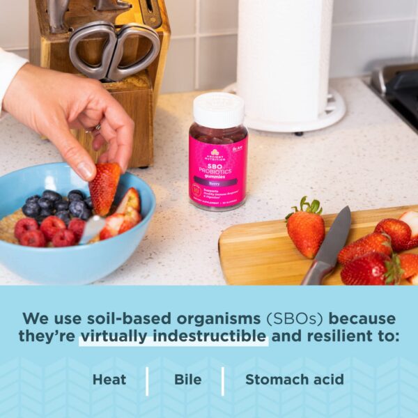 Gomitas probióticas para niños y adultos Ancient Nutrition