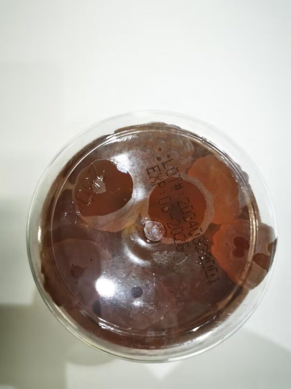 Gomitas sabor mandarina fáciles de consumir sin sabor amargo