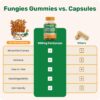 Gomitas saludables Fungies Cordyceps mango piña para adultos