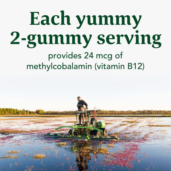 Gomitas saludables MegaFood con metilb12 para adultos