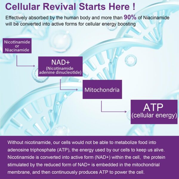 Gomitas saludables NEVISS sin azúcar para energía y digestión