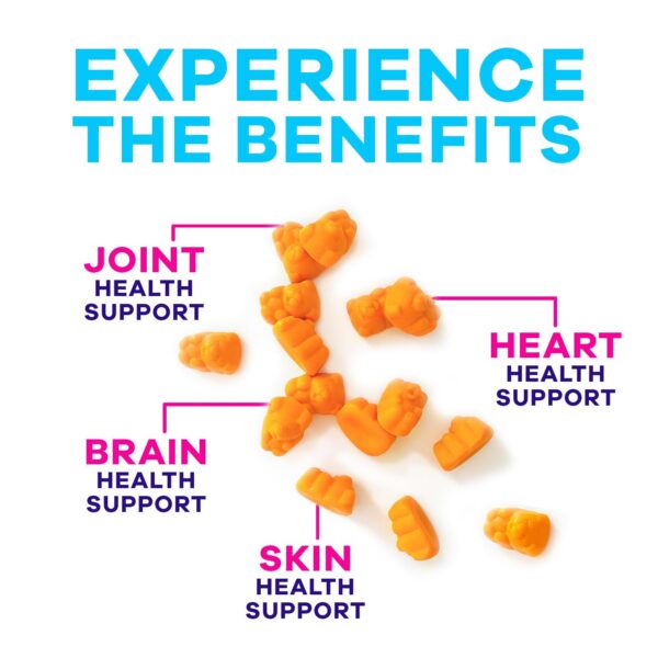 Version 1.0.0 Gomitas sin azúcar con cúrcuma, jengibre y pimienta negra