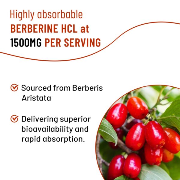 Version 1.0.0 Gomitas Vazatisi en envase cerrado suplemento metálico