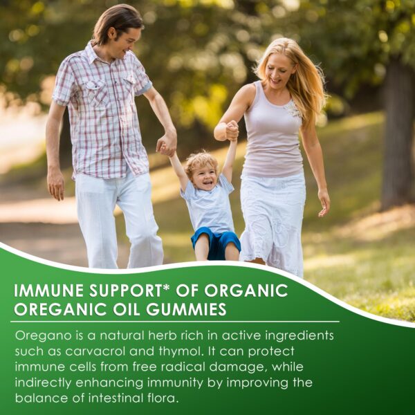 Gomitas veganas Q'ankyaq fáciles de masticar y sabor kiwi