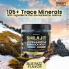 Gomitas de Vitamax con shilajit para energía y apoyo inmunológico
