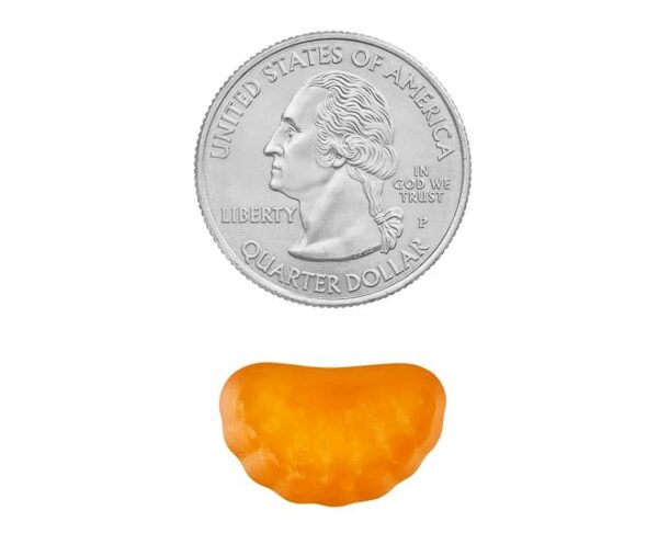 Version 1.0.0 Presentación de gomitas