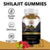 Gomitas WISHSPARK vitaminas y minerales traza Shilajit