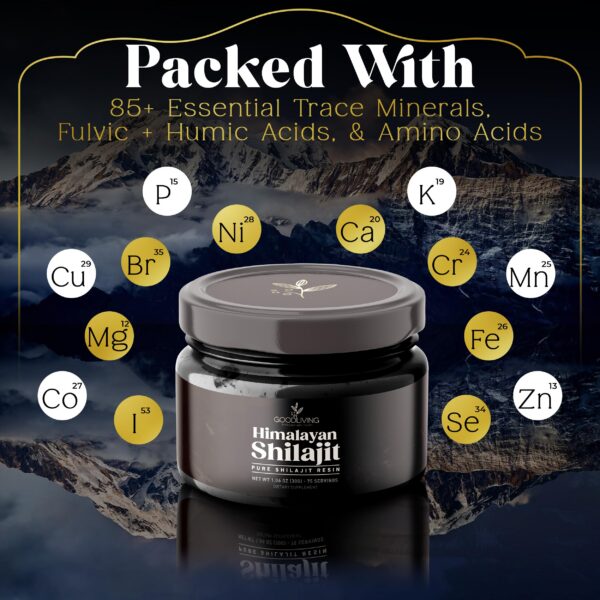 GoodLiving Shilajit resina Himalaya caja