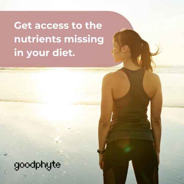 Version 1.0.0 Caja de Goodphyte Digestive Enzyme