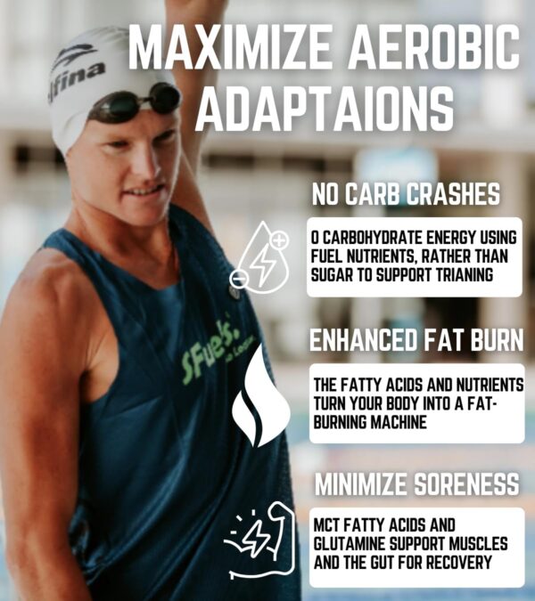 Version 1.0.0 Gráfico nutricional de Zone 2 Fuel