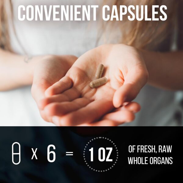 Etiqueta externa del suplemento de órganos de res