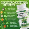 Ingredientes naturales GreeNatr para memoria y bienestar general