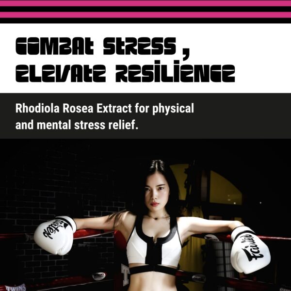 Gridiron Pre-Game mezcla ingredientes para rendimiento óptimo