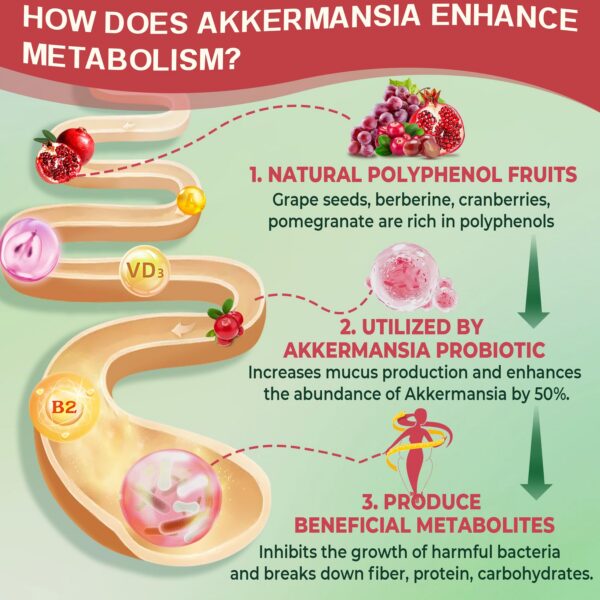 Version 1.0.0 Gummies salud intestinal y digestiva Nextdia 60 unidades