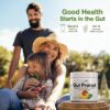 gut protect greens polvo con enzimas digestivas y fibra saludable