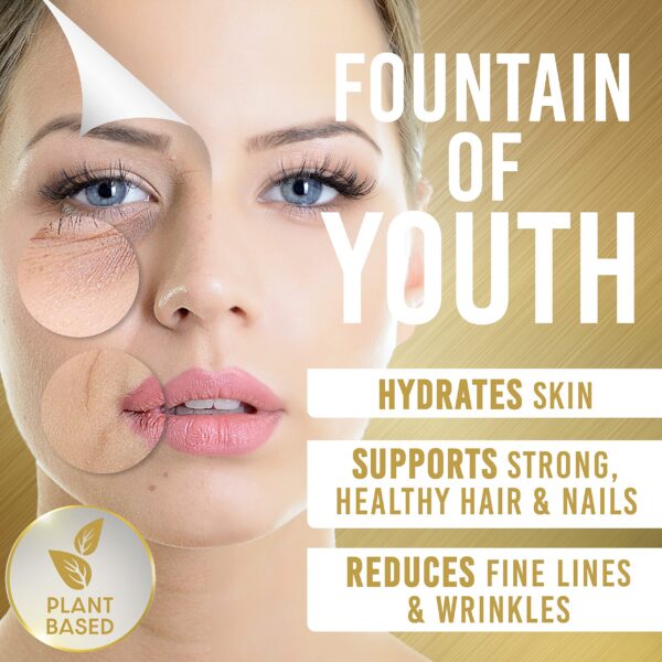 Proceso de destilación de baja temperatura